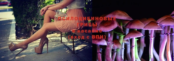 экстази Горняк