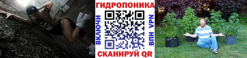 Купить закладки  Елец  Каннабис семена 